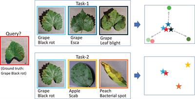A few-shot learning method for tobacco abnormality identification